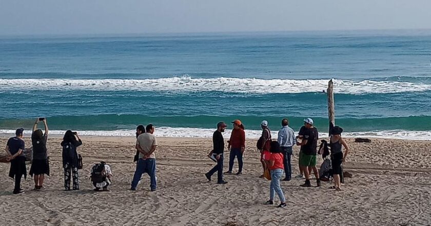 Rodarán película en Playa Miramar