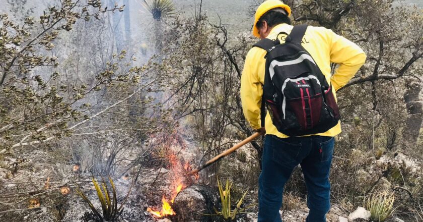 Atacan incendio forestal en Bustamante