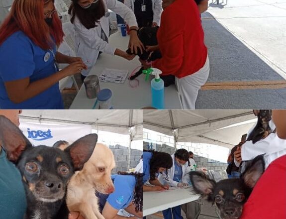 Realizan jornada de vacunación y desparasitación de mascotas