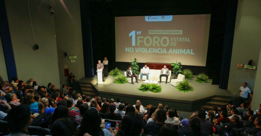 Reconocen disposición del Gobierno de Tamaulipas para prevenir maltrato animal y fortalecer legislación