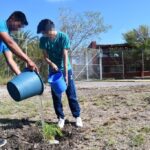 Adolescentes y sus familias reforestan Centro Regional de Ejecución de Medidas